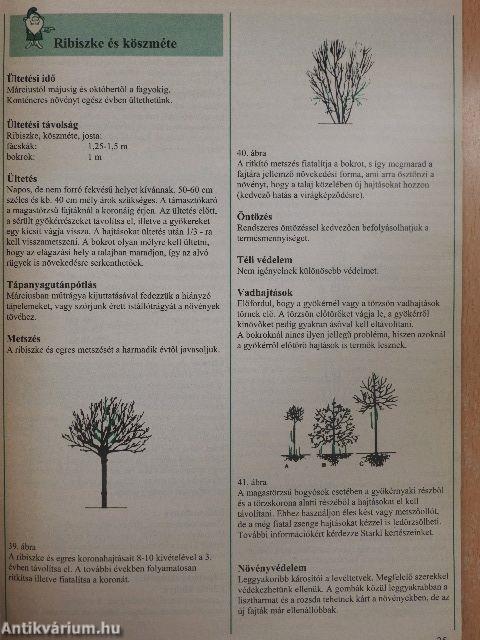 Starkl ápolási útmutató