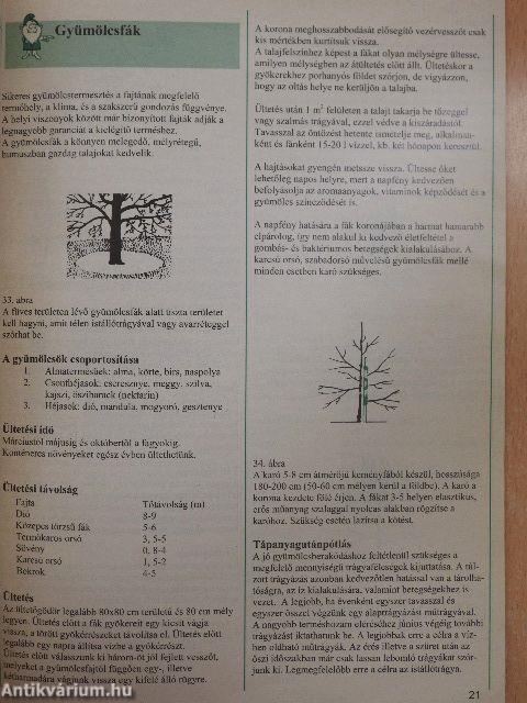 Starkl ápolási útmutató