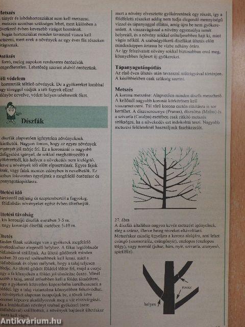 Starkl ápolási útmutató