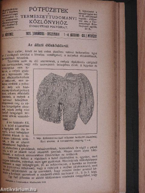 Természettudományi Közlöny 1920. január-december/Pótfüzetek a Termézettudományi Közlönyhöz 1920. január-december