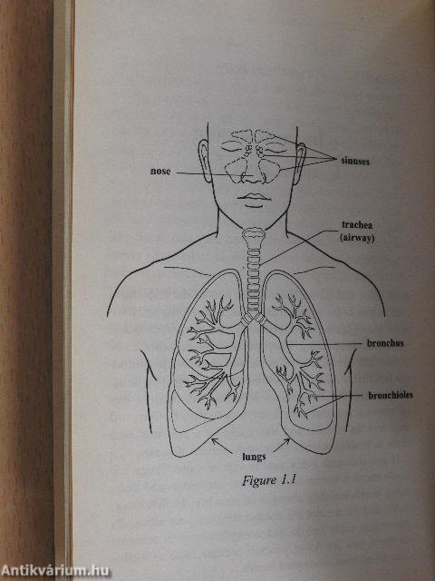 Natural Medicine for Colds and Flu