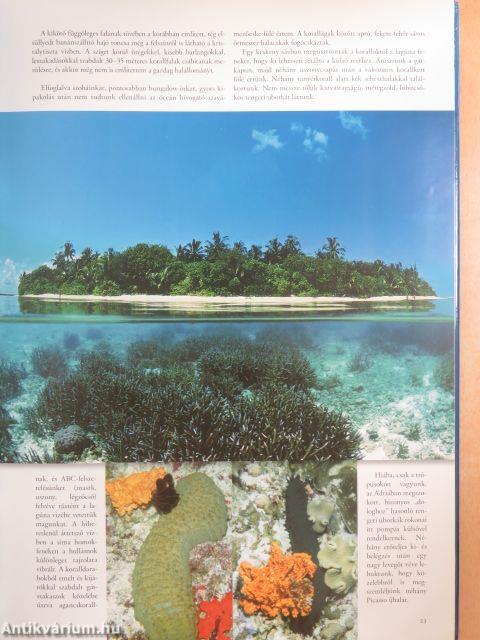 Képeslapok a Paradicsomból