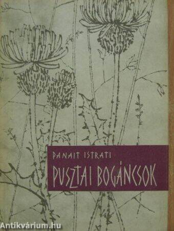 Pusztai bogáncsok