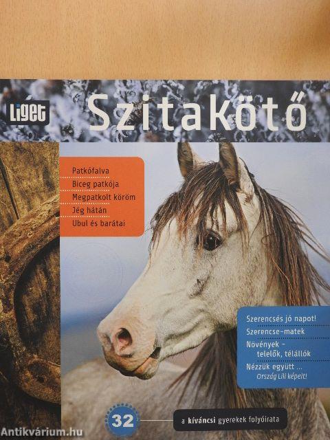 Szitakötő 32.