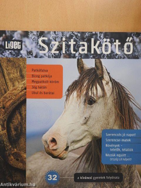 Szitakötő 32.