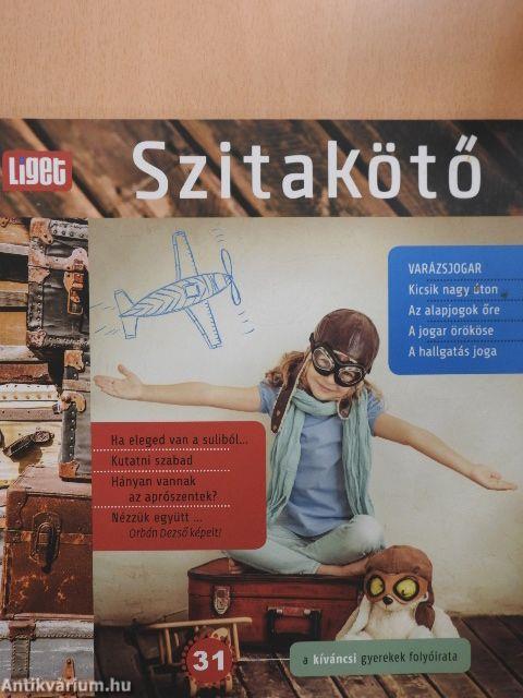 Szitakötő 31.