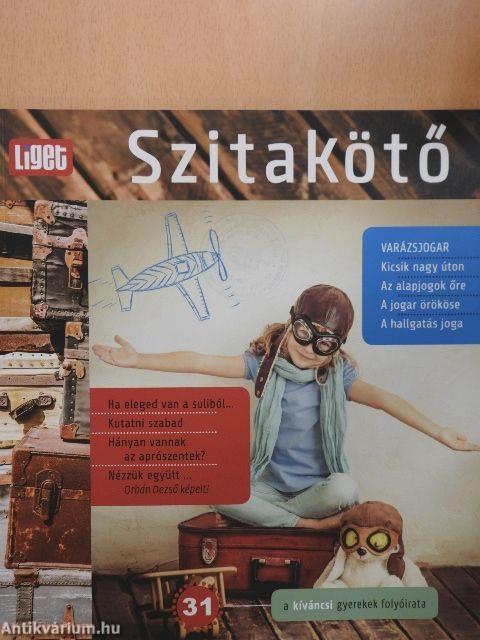 Szitakötő 31.