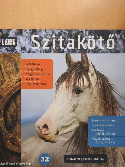 Szitakötő 32.