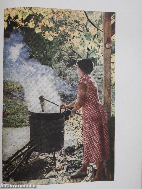 A fényképezés kézikönyve