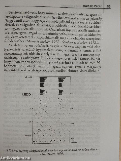 Az alvás- és ébrenléti zavarok diagnosztikája és terápiája