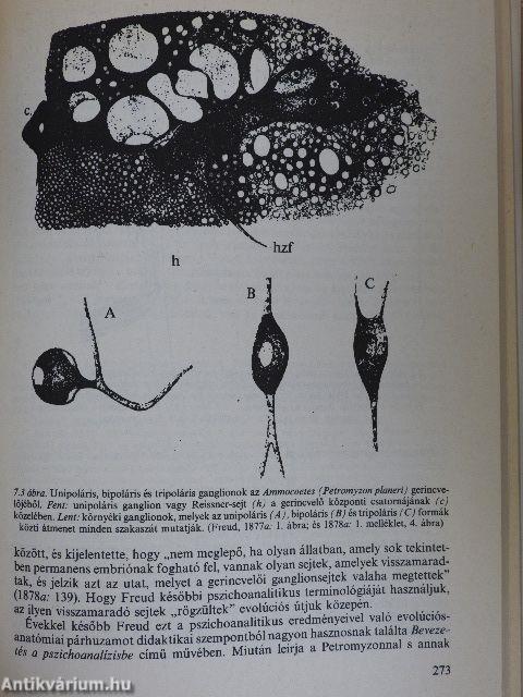 Freud, a lélek biológusa