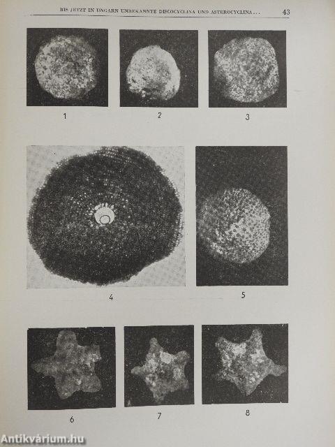 Magyar Nemzeti Múzeum-Természettudományi Múzeum évkönyve 1958.