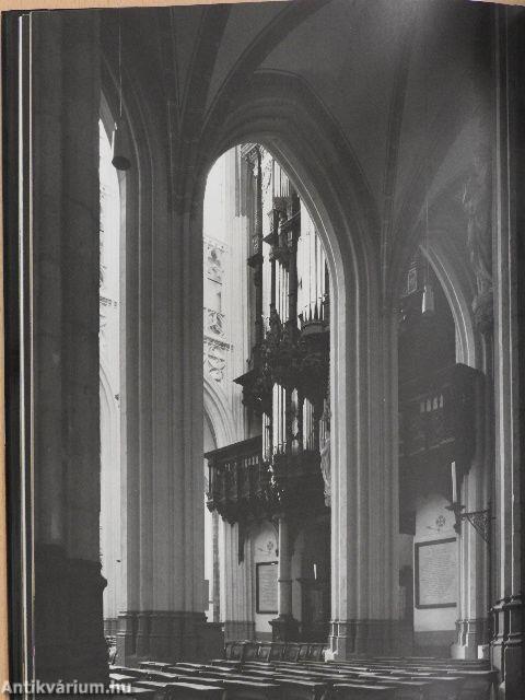 The Cathedral of St Jan's-Hertogenbosch