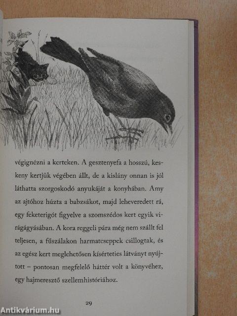 Csöpi az elhagyott kiscica