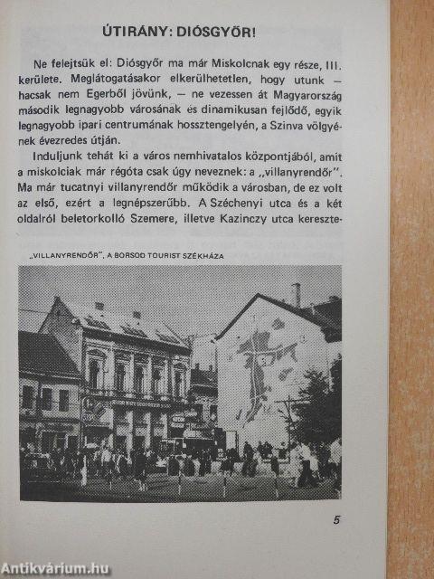 A diósgyőri vár és környéke