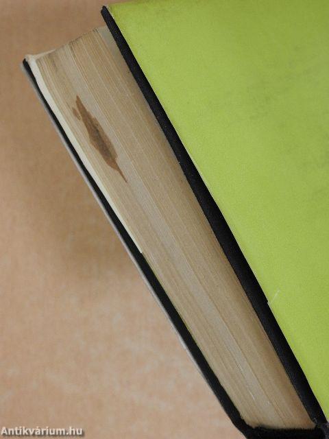 A pszichikum, az én és a társadalom