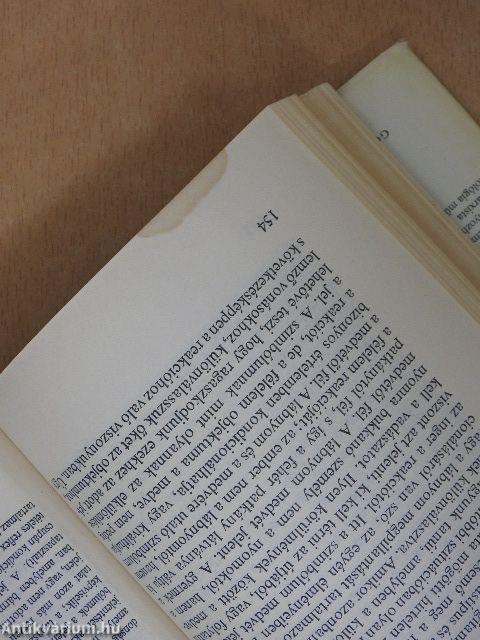 A pszichikum, az én és a társadalom