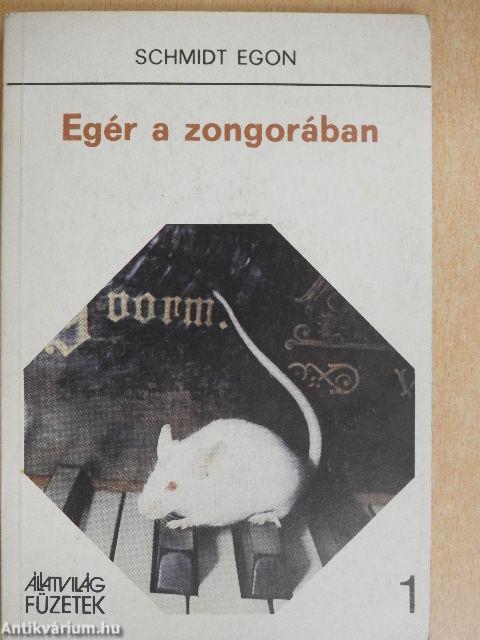 Egér a zongorában