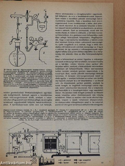 Búvár 1968. (nem teljes évfolyam)