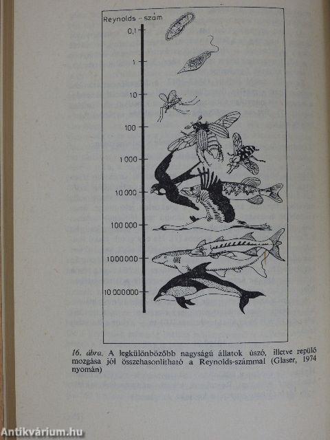 A biológia aktuális problémái 28.