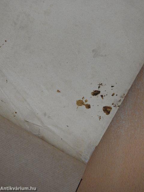 Il Poliglotta Moderno 1905-1907. (nem teljes évfolyam)