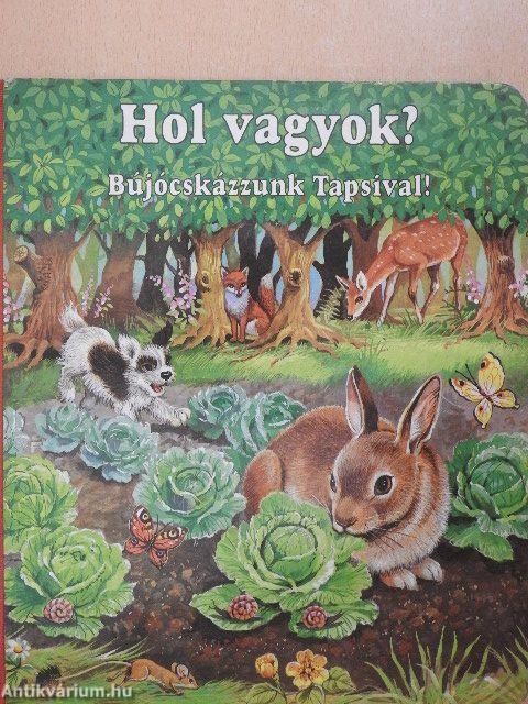 Hol vagyok?