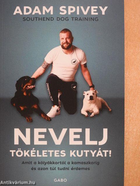 Nevelj tökéletes kutyát!