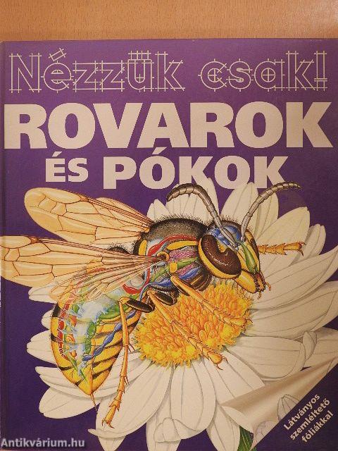 Rovarok és pókok