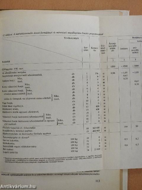 Állattenyésztési ágazatok szervezése és optimalizálása