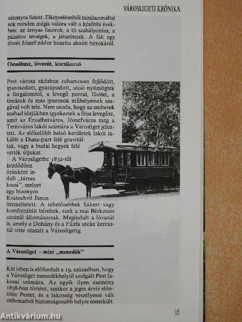 Ujjé, a Ligetben...