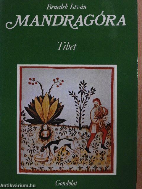 Mandragóra I.