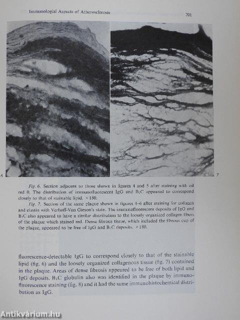 Comparative Pathology of the Heart