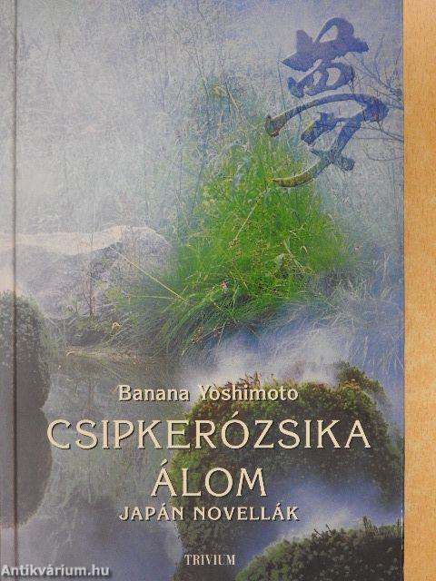 Csipkerózsika-álom