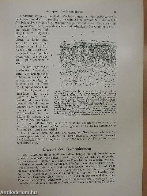 Grundriss der Dermatologie