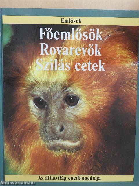 Főemlősök, rovarevők, szilás cetek