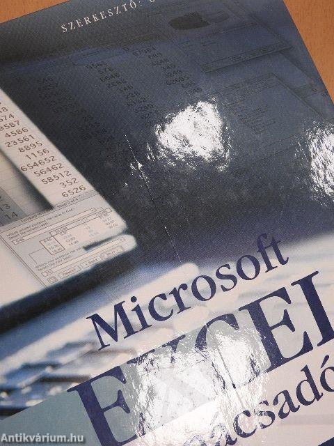 Microsoft Excel tanácsadó