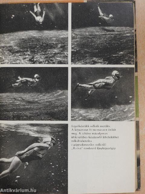 Kalandok a tenger mélyén