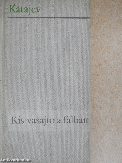 Kis vasajtó a falban