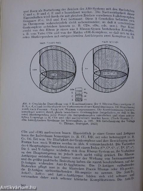 Allergie und Allergische Erkrankungen 1.