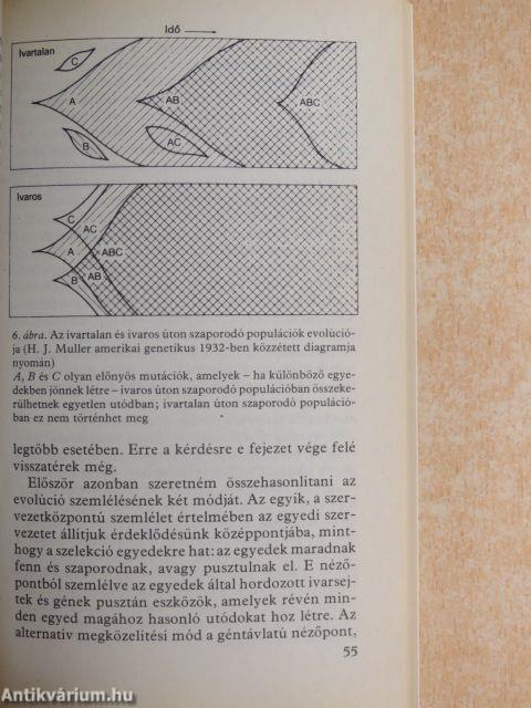 Kulcskérdések a biológiában