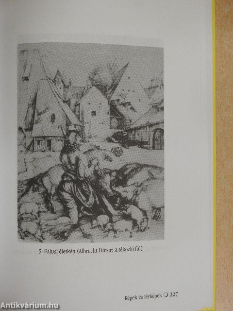 "Napkirályok" tündöklése