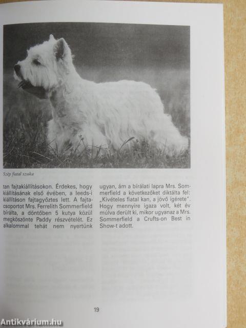 A westie