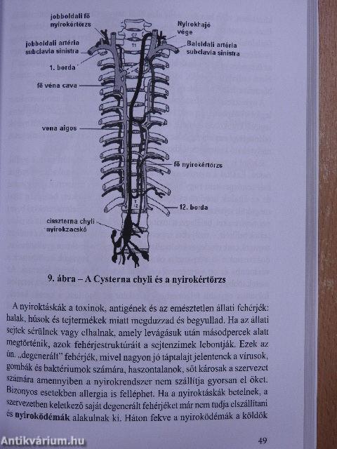 A csodálatos máj- és epehólyag tisztítás