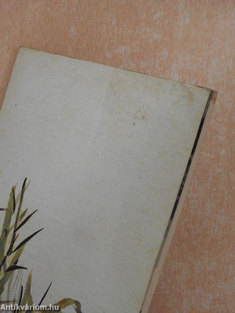 Jézus, itt vagyok, küldj el engem!