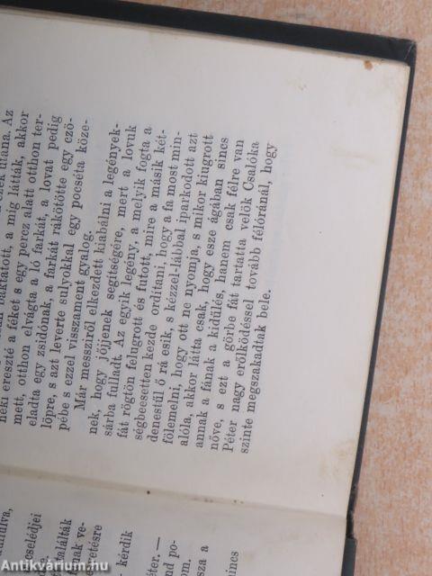 A magyar nép élcze szép hegedűszóban