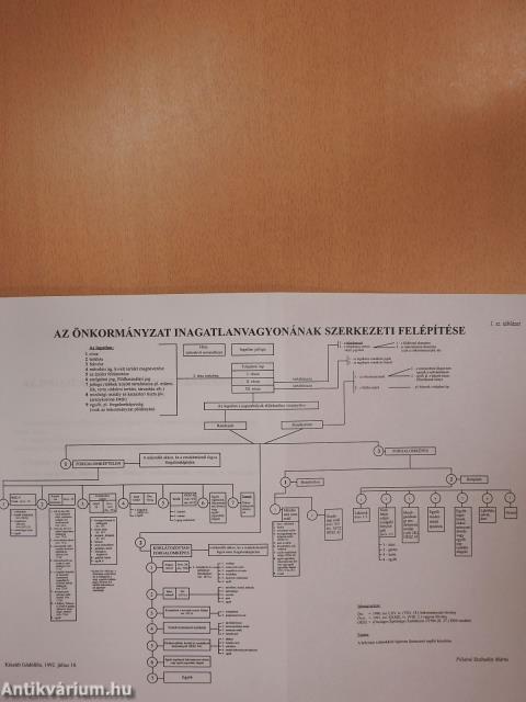 Az ingatlanvagyon rendezése, nyilvántartása (dedikált példány)