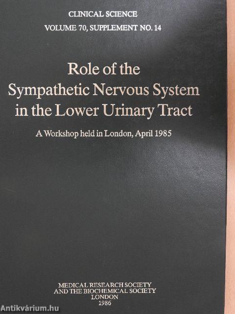 Role of the Sympathetic Nervous System in the Lower Urinary Tract