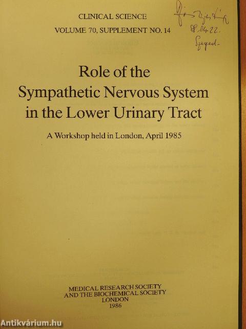 Role of the Sympathetic Nervous System in the Lower Urinary Tract