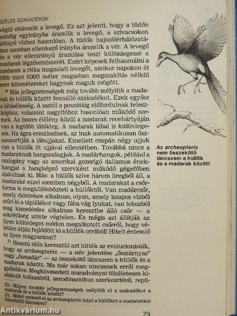 Az élet - hogyan jött létre?