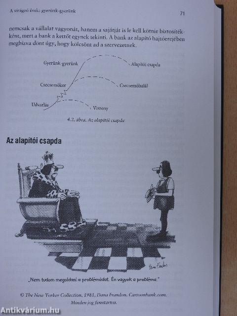 Vállalatok életciklusai